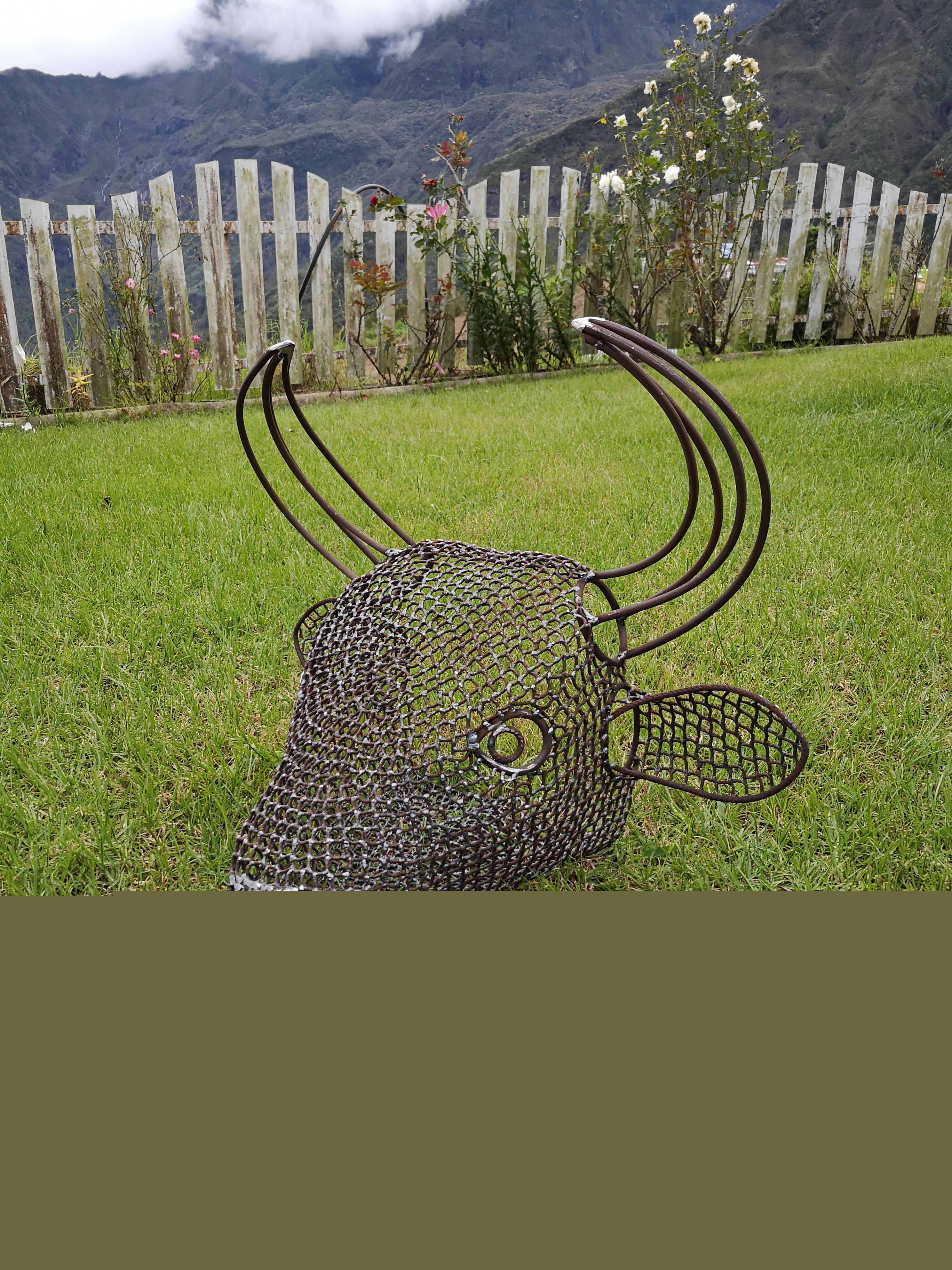 Tête de taureau